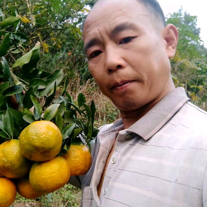 王山歌