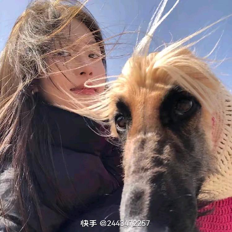 数码商城