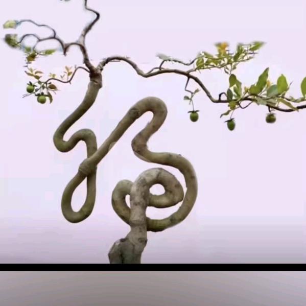 剑创石材～净水机