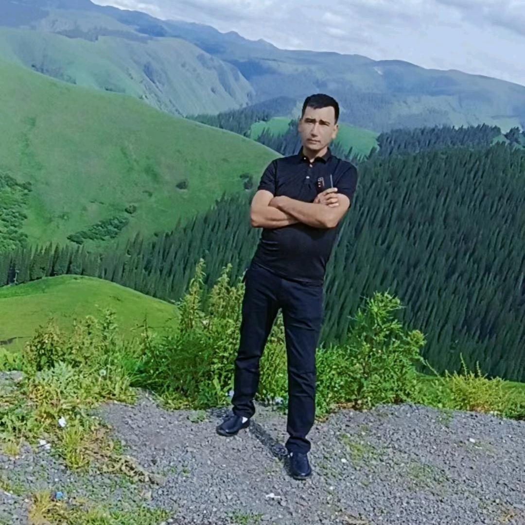 库车市顶呱呱青饲料收获机