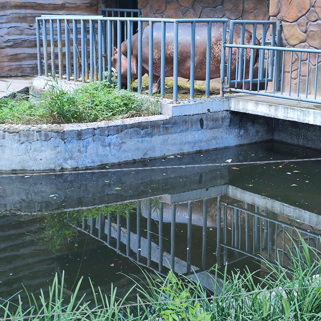 寻记自助快餐