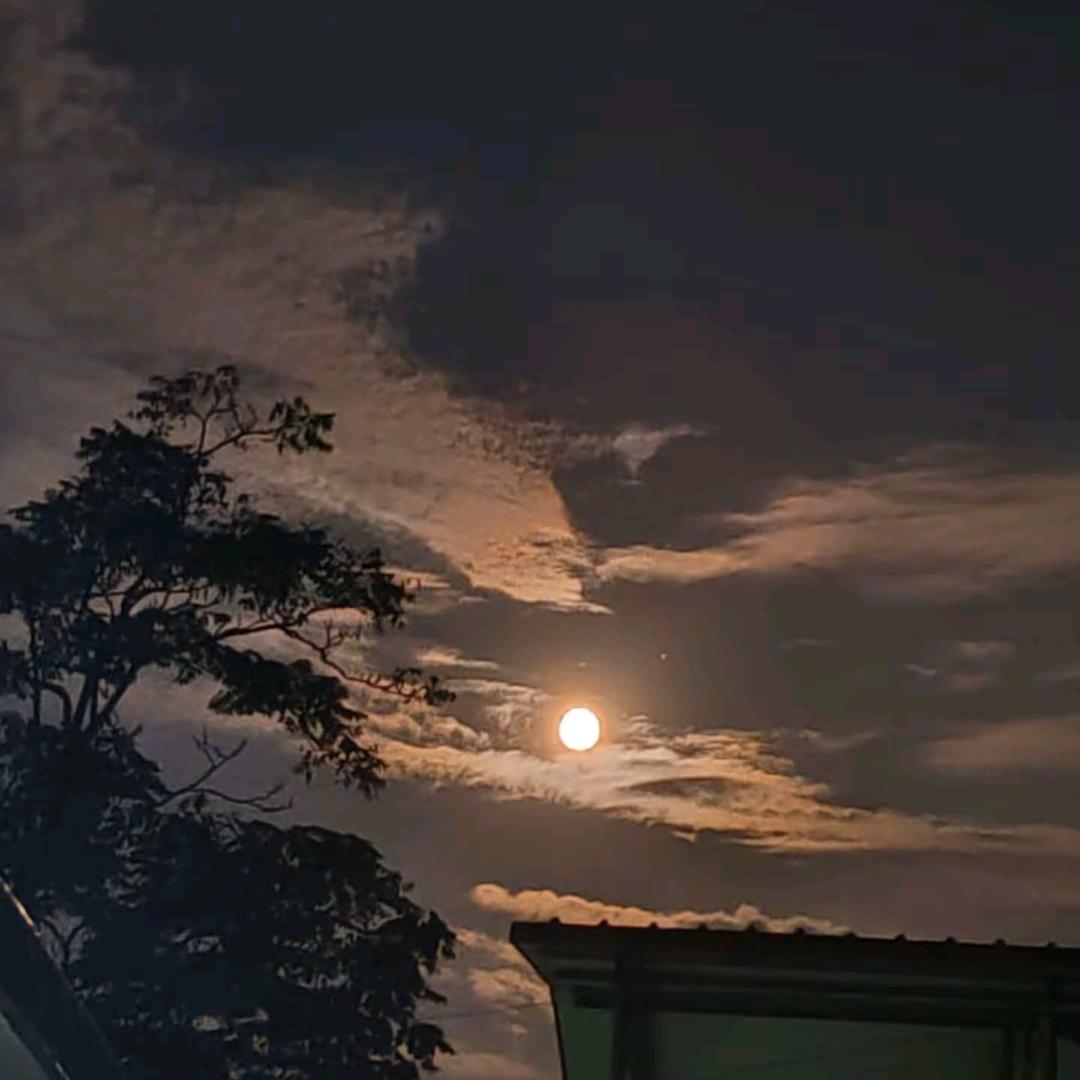 静观其变