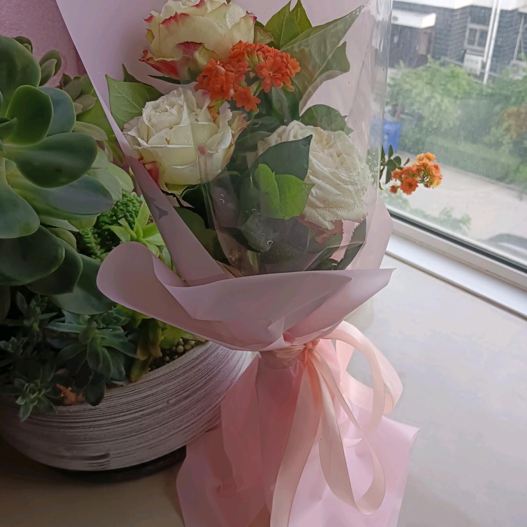 春天的花儿，