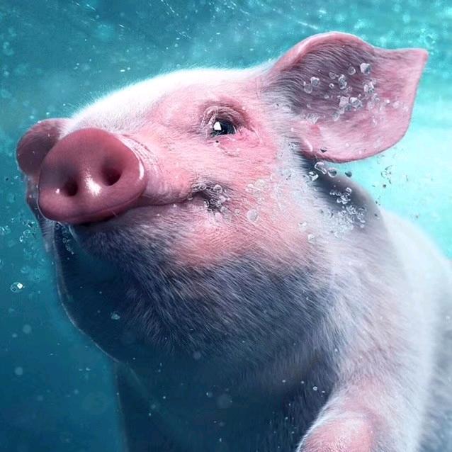 今天你吃了吗？🥔