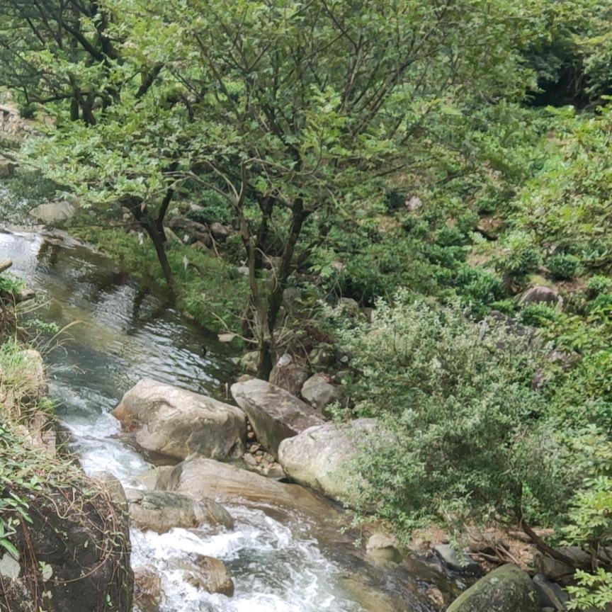 一人读作我心安