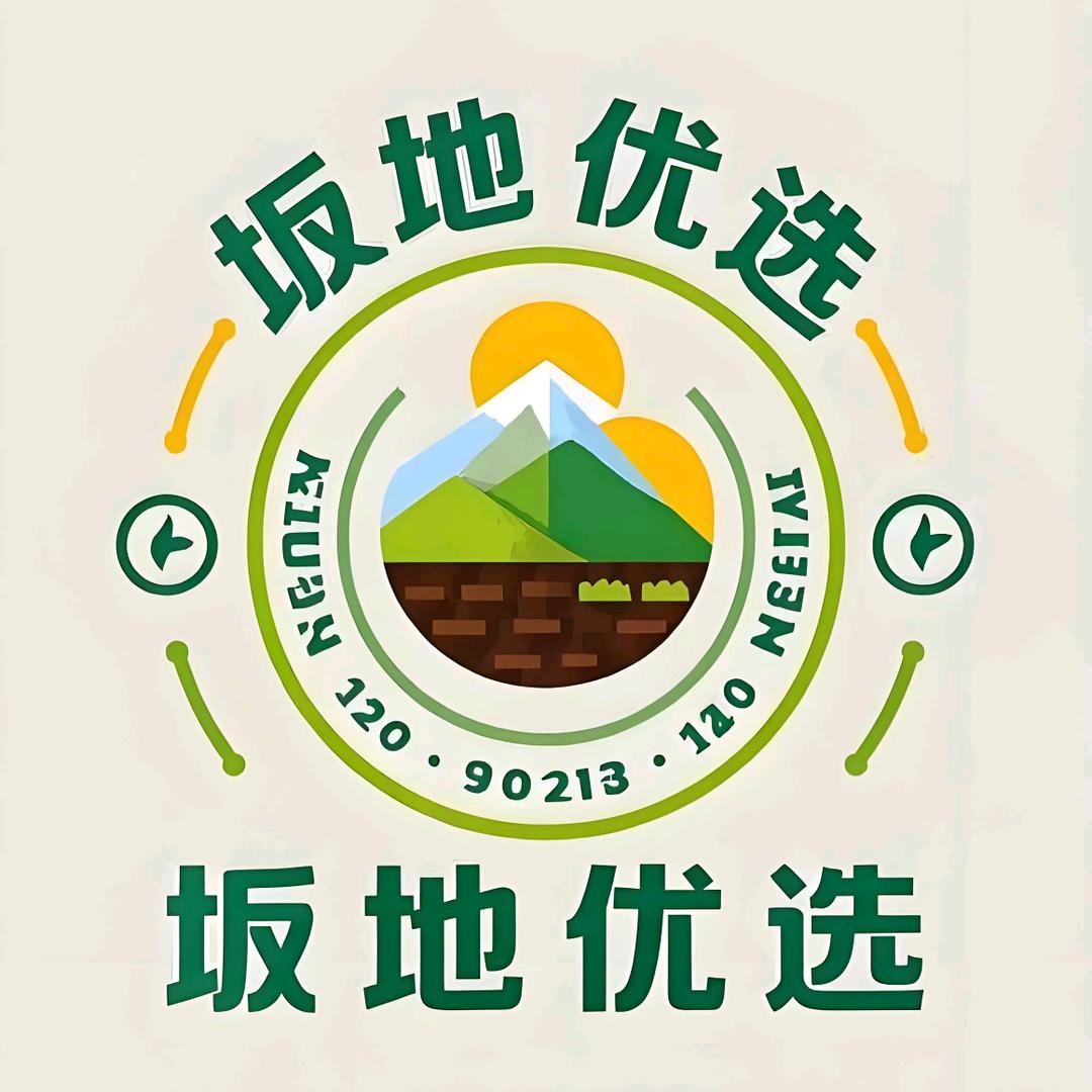 坂地优选