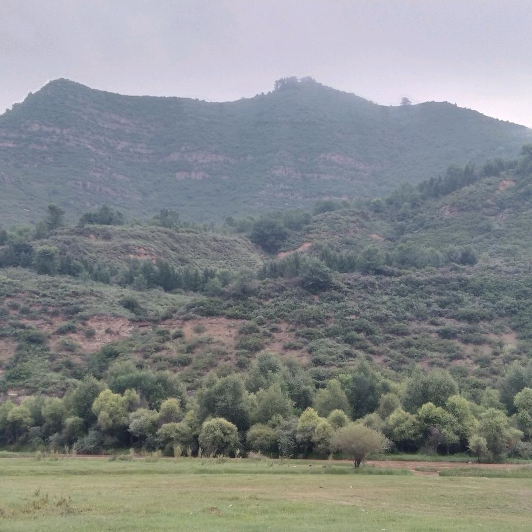 广利装饰铝板碳晶板木饰面定制