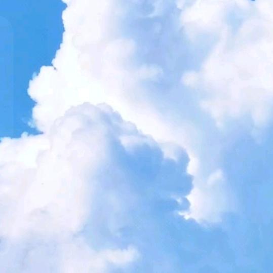 笑看云卷云舒，静待花开花落