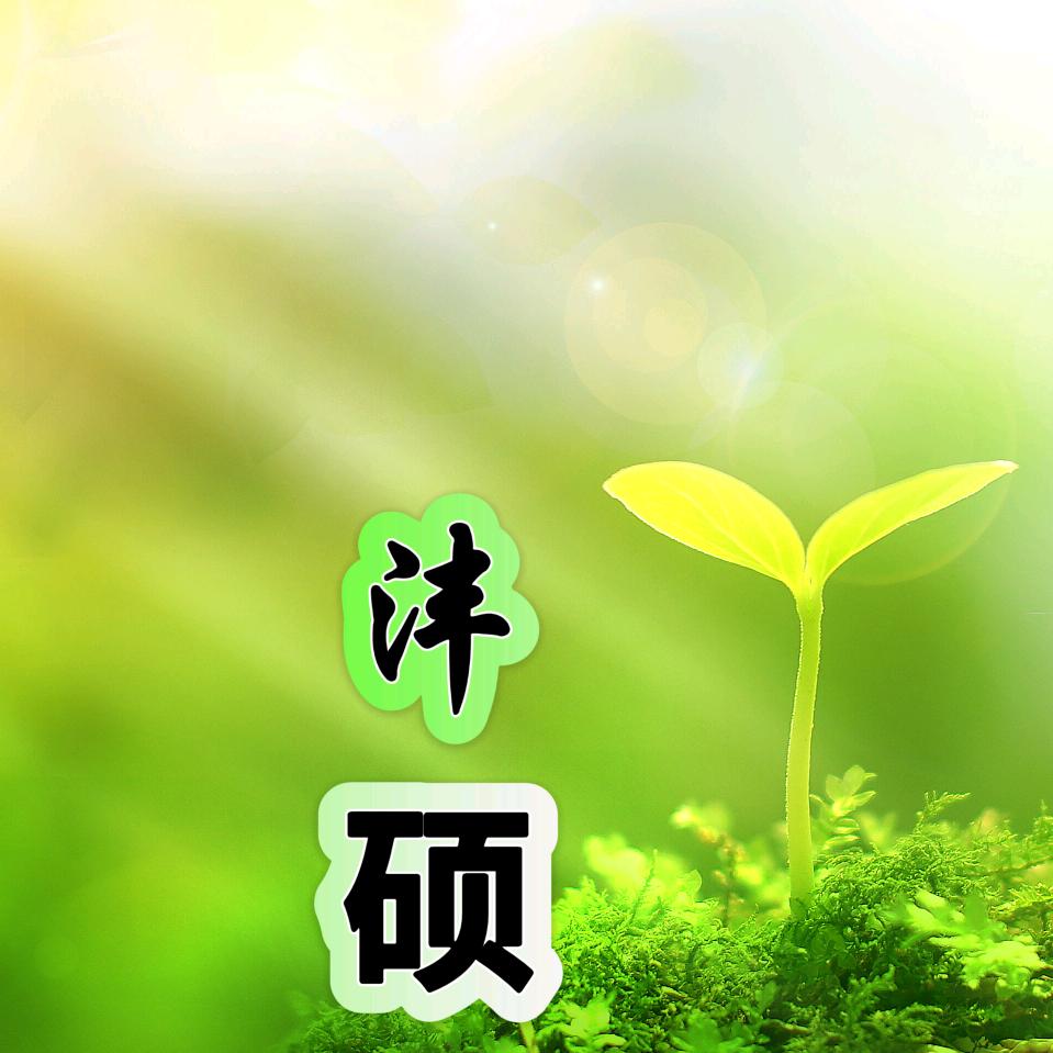 沣硕