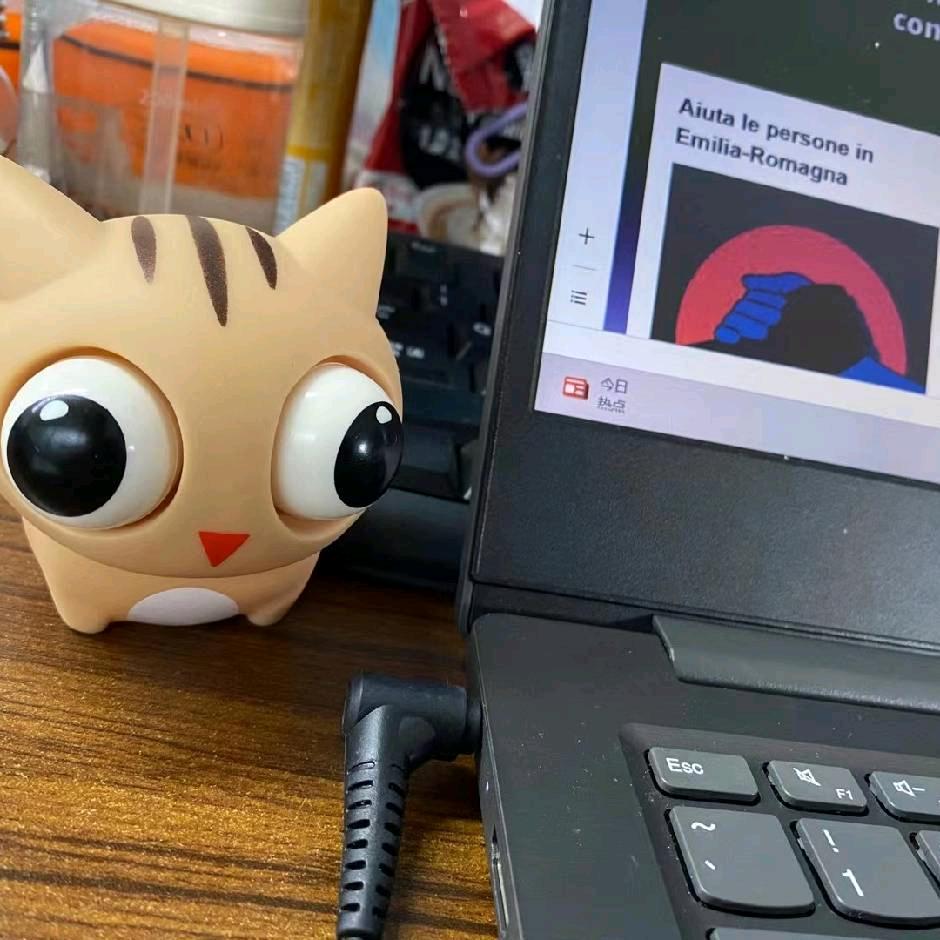 财神爷的斌斌💰