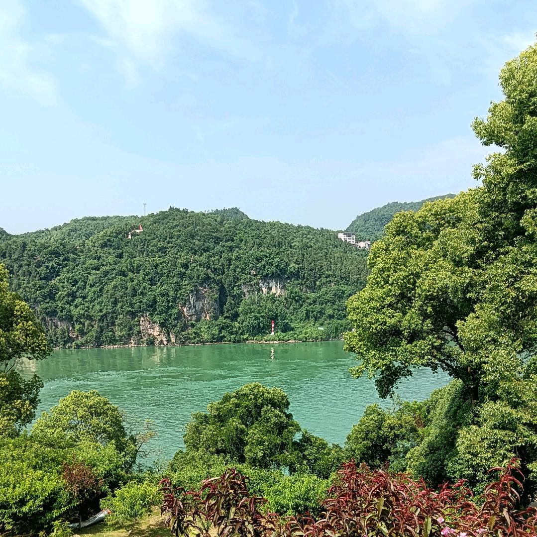 樊金华
