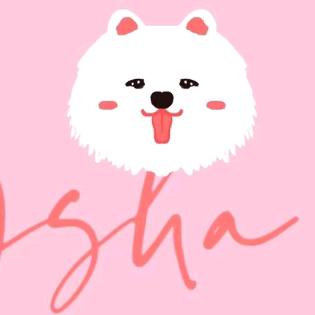 🌈耶耶爱吃豆包✨