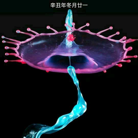 小麦大豆还有包谷和萝卜白菜裹些