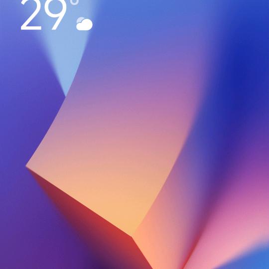 森林②森林👁⊙