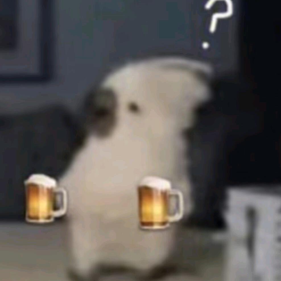 鸽