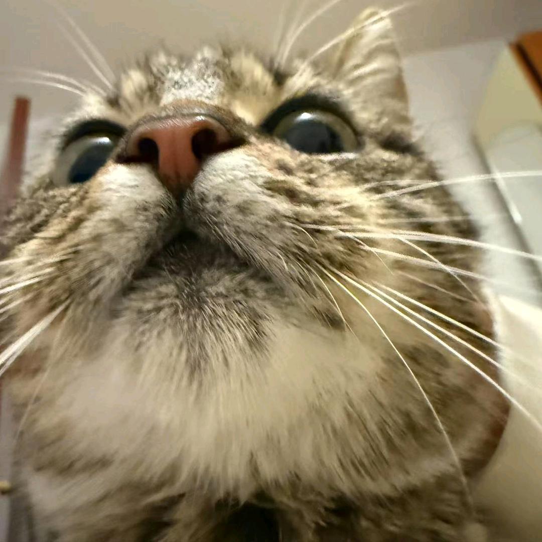 ^石叁^