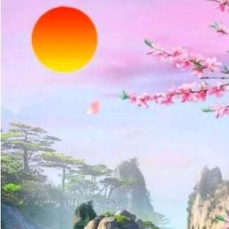 润淼丽姐家政