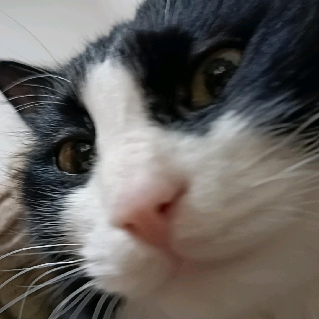 ，