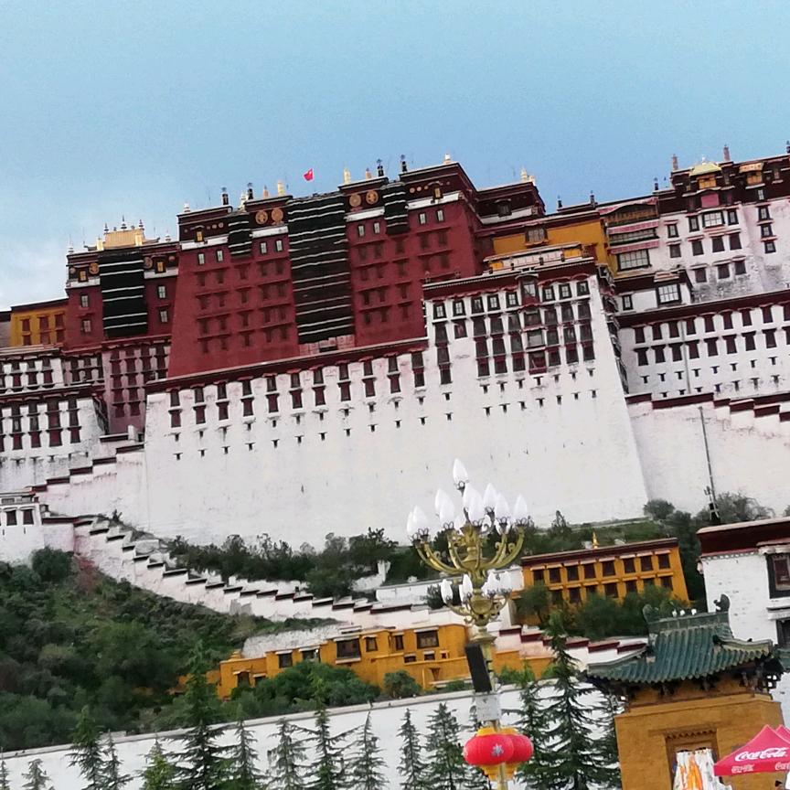 小曾专业架子工施工队