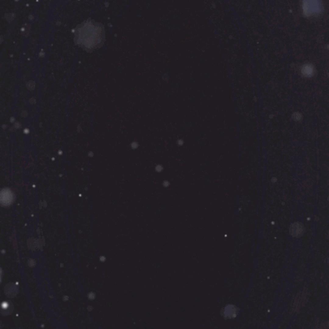 饿了就吃困了就睡