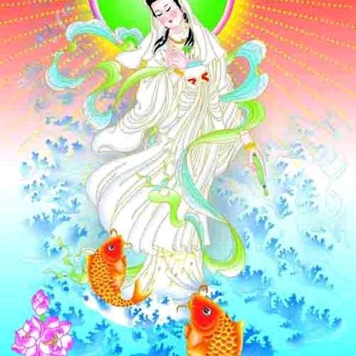 鑫浩源