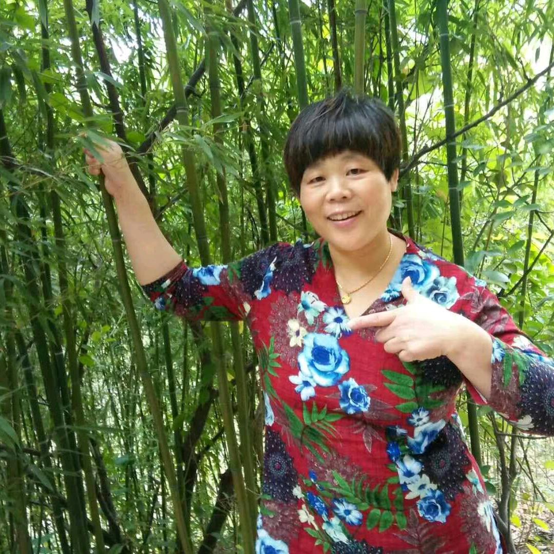 你若不伤岁月无恙