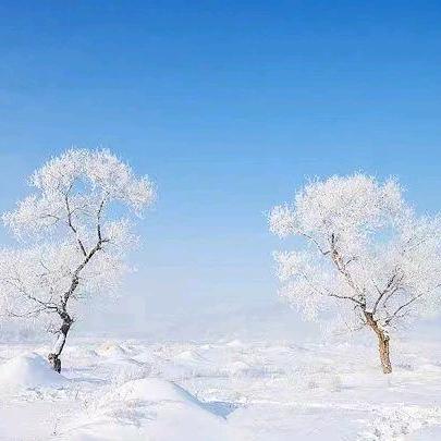 一生只爱你一人zxg