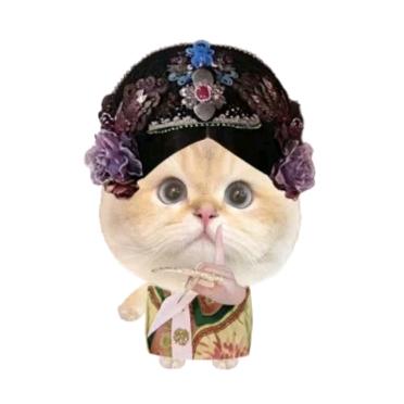 思思一天饿三顿😭