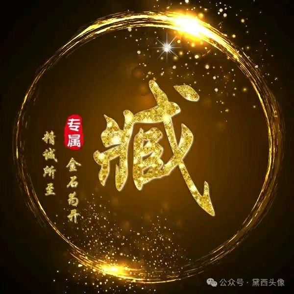臧海建