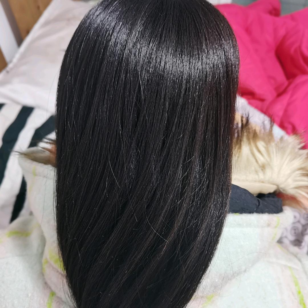 天晴月季