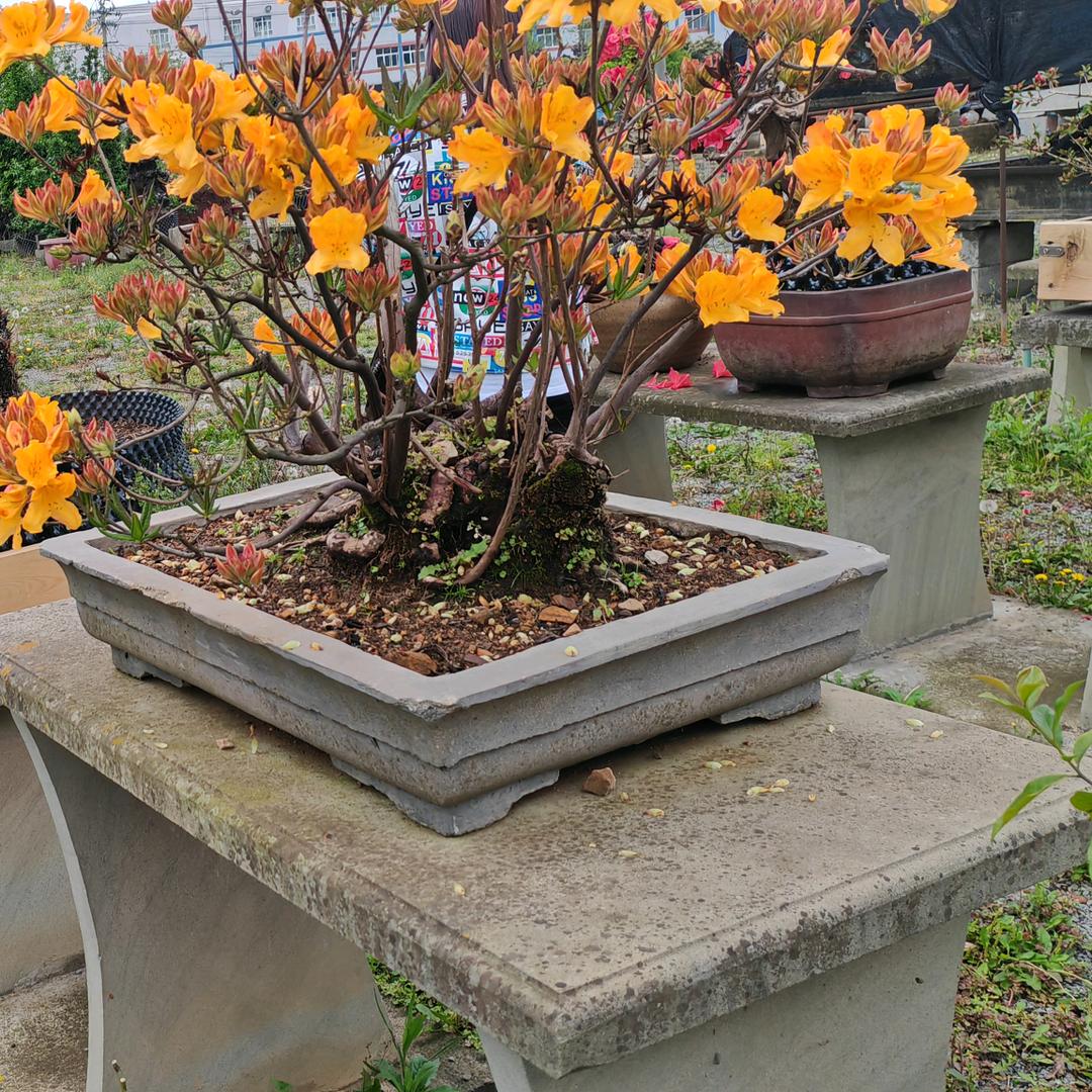 放下过去💔从头再来