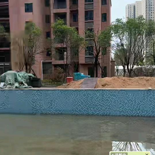 悠闲菠萝