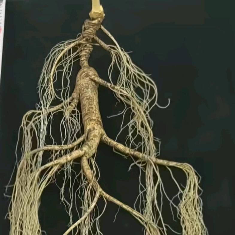 阿峰云吞