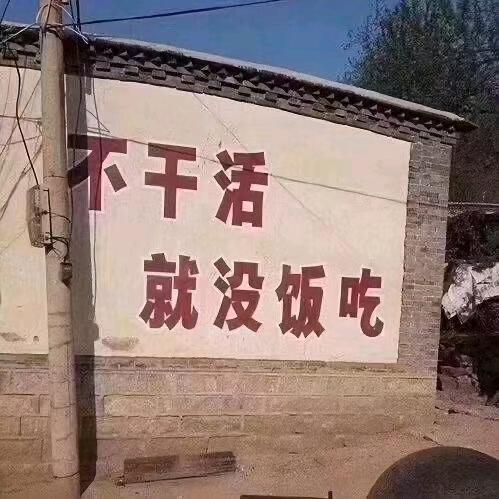 小琪爱