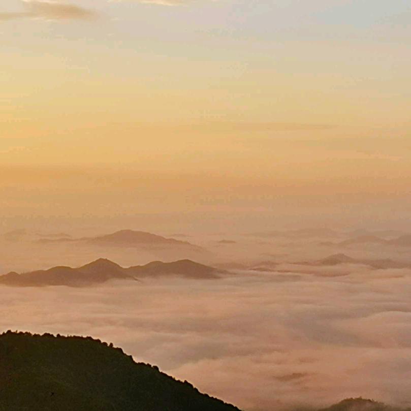 创新728