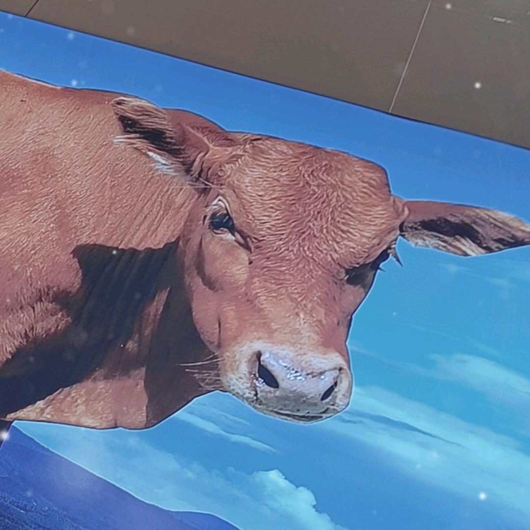 张家港黄牛肉店