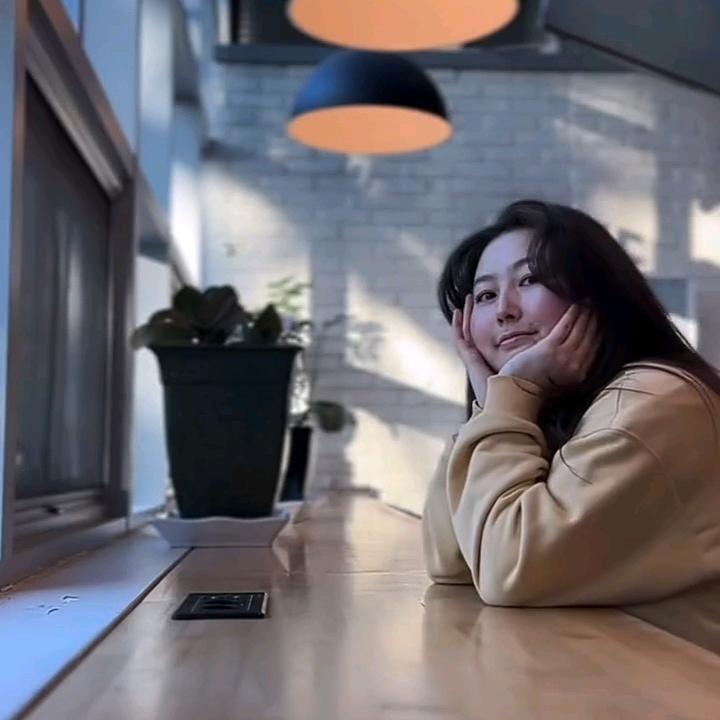 2史夫尔车载好物