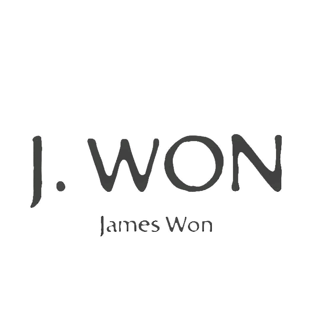 J.WON劲王休闲鞋蔡蔡