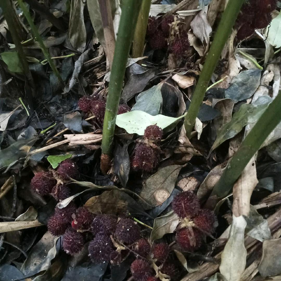 人生三万天，不知道死在哪一天