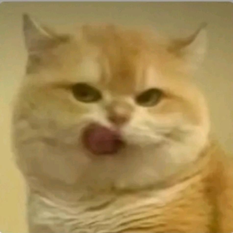 人