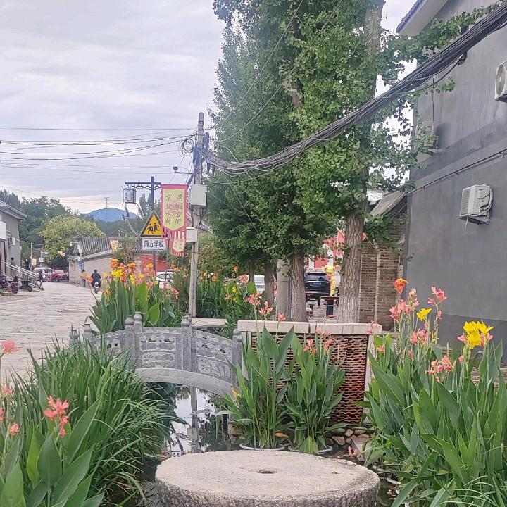 晴空万李