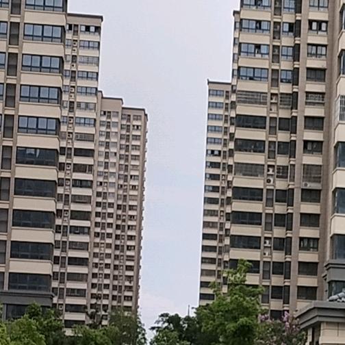 傻哥
