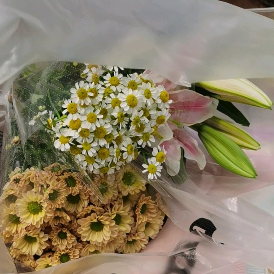 金战士安全防护