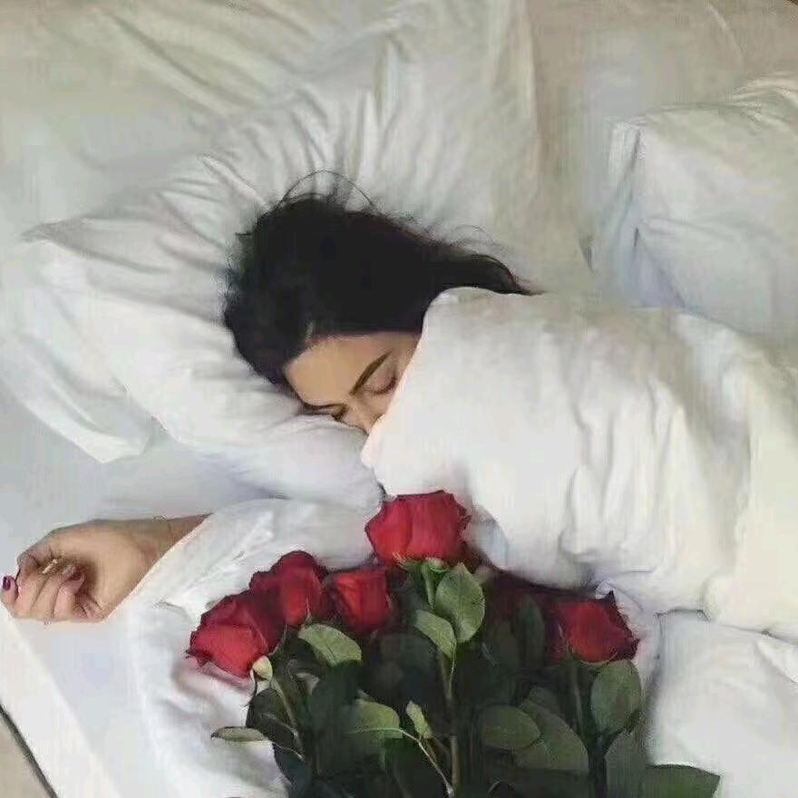 🌹🌹🌹🌹🌹🌹🌹