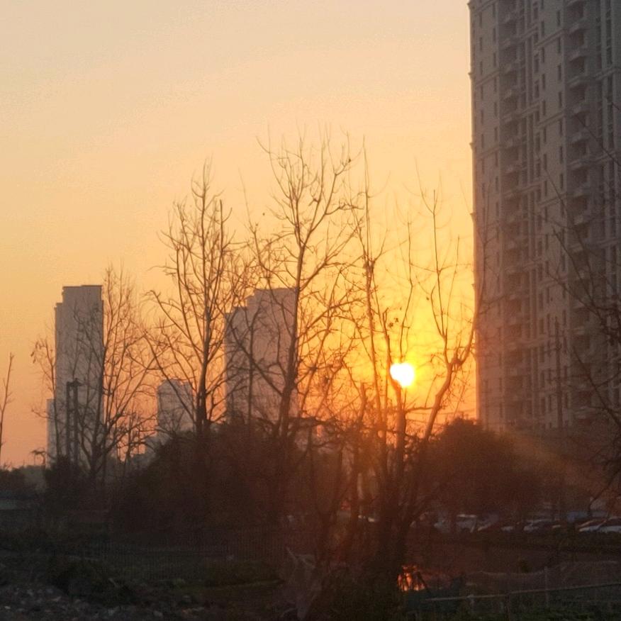 跃龙门