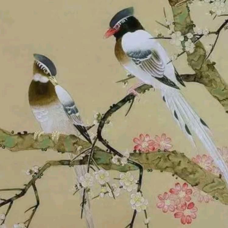 💝相思枫叶丹💞5237（封钻）