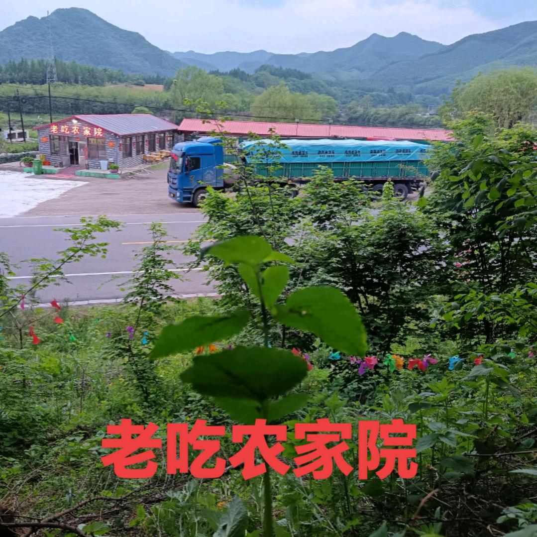 本溪县老吃农家院1824951837