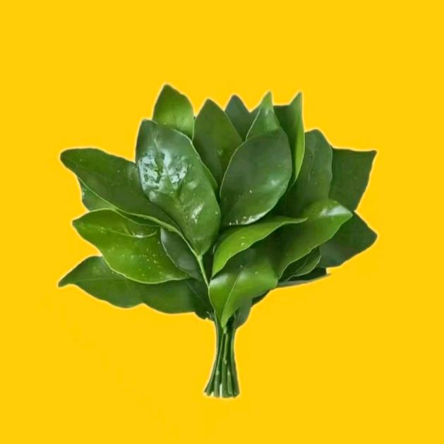 柚子爆爆