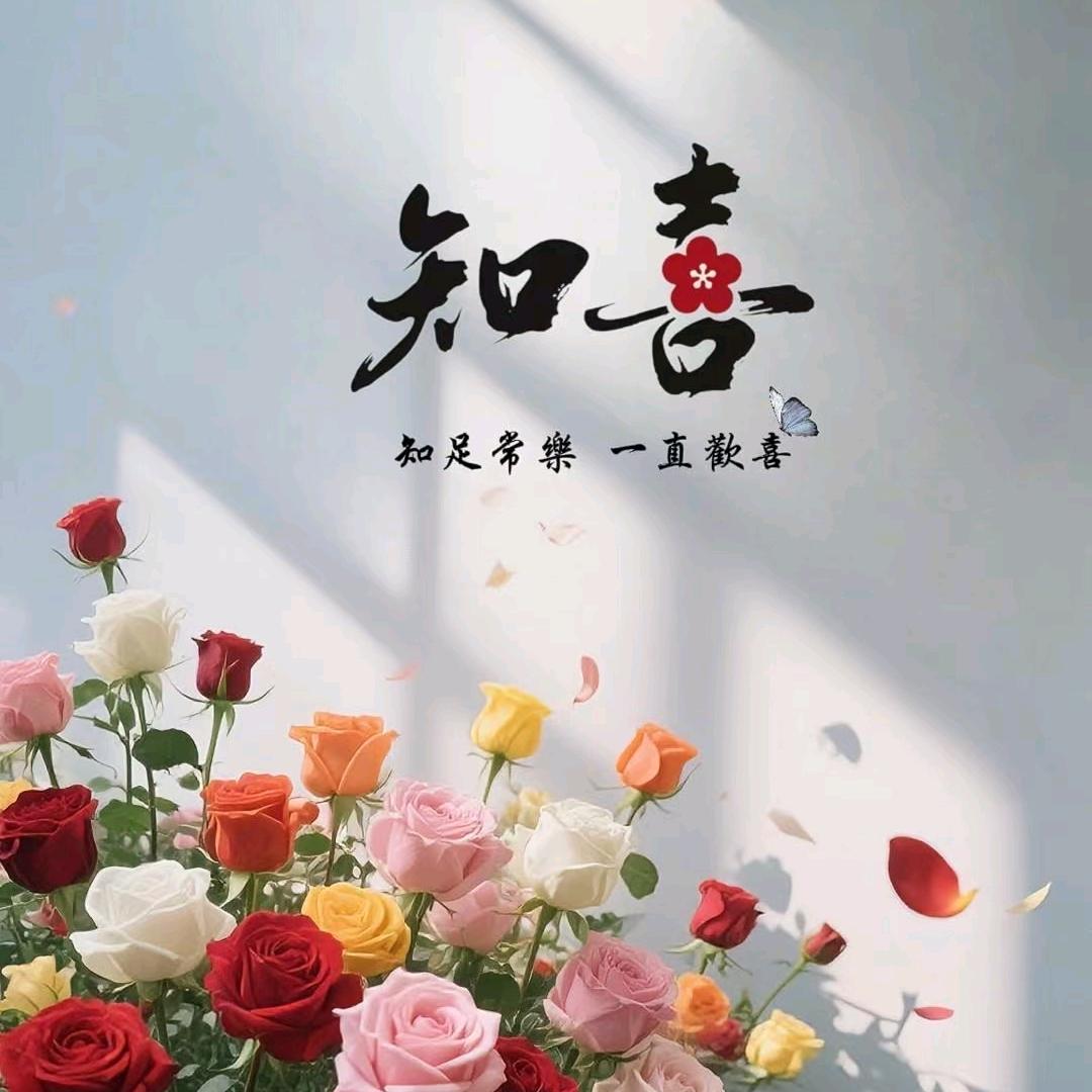 潘潘呀(彬彬有氧)