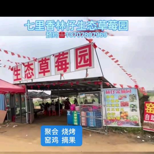 小叶